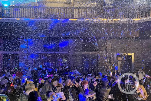 在南濱路的冬夜里，把極光、沸雪和落日還給舊歲